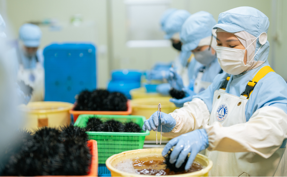 自社工場の様子