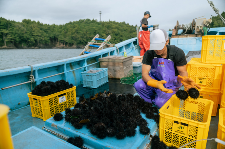 船上の漁師たち