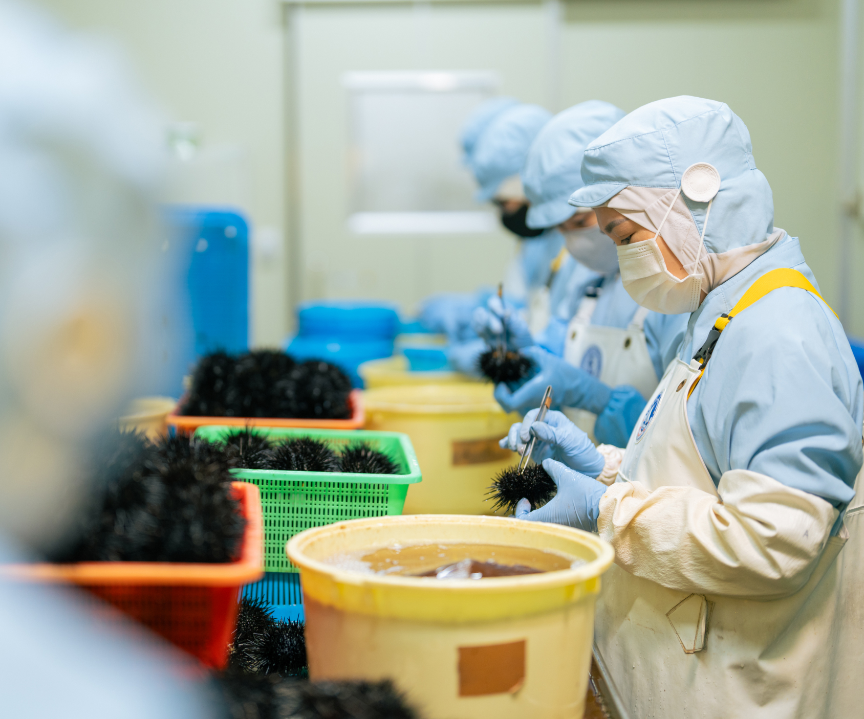 自社工場の様子