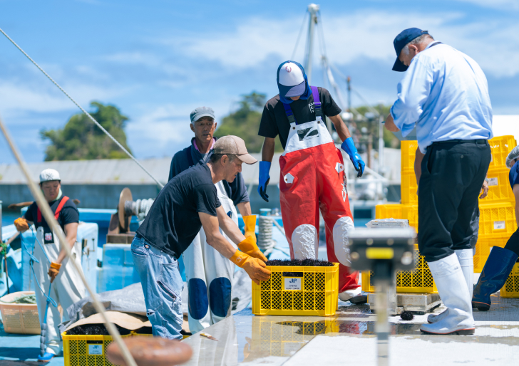 漁港の漁師たち